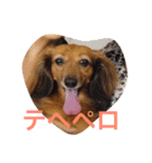 TEARAMA（個別スタンプ：16）