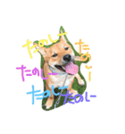 ポチ(三重の犬).3（個別スタンプ：2）