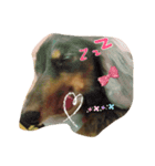 ウチのわんちゃんの日常生活（個別スタンプ：6）