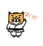 karate nekomaru（個別スタンプ：1）