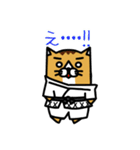 karate nekomaru（個別スタンプ：2）
