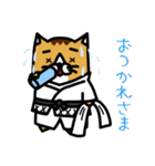 karate nekomaru（個別スタンプ：5）