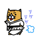 karate nekomaru（個別スタンプ：8）