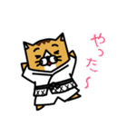 karate nekomaru（個別スタンプ：9）