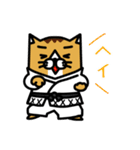 karate nekomaru（個別スタンプ：10）