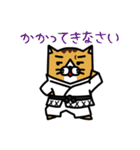 karate nekomaru（個別スタンプ：11）