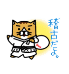 karate nekomaru（個別スタンプ：12）