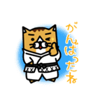 karate nekomaru（個別スタンプ：15）