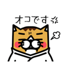 karate nekomaru（個別スタンプ：17）
