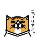 karate nekomaru（個別スタンプ：19）