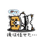karate nekomaru（個別スタンプ：26）