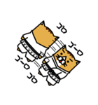 karate nekomaru（個別スタンプ：27）