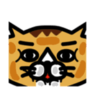 karate nekomaru（個別スタンプ：34）