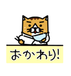 karate nekomaru（個別スタンプ：38）