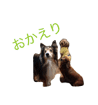 犬の日常生活スタンプ（個別スタンプ：9）