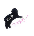 こちゃひじ（個別スタンプ：1）