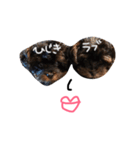 こちゃひじ（個別スタンプ：3）