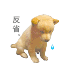柴犬の家族（個別スタンプ：11）