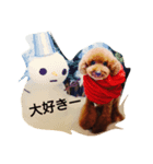 MIMI＆MOKO（個別スタンプ：6）