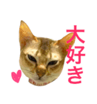 シンガプーラ  ゆきち（個別スタンプ：9）