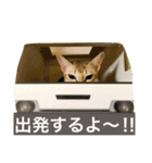 シンガプーラ  ゆきち（個別スタンプ：16）