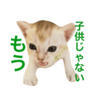シンガプーラ  ゆきち（個別スタンプ：21）