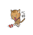 Awesome Fuzzy Cat（個別スタンプ：11）