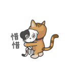 Awesome Fuzzy Cat（個別スタンプ：22）