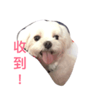 All about Super（個別スタンプ：10）