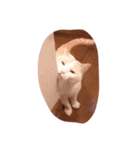 葛西 白（個別スタンプ：4）