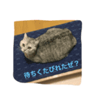 かいくんの1日 にー（個別スタンプ：6）