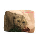 かいくんの1日 にー（個別スタンプ：8）