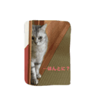 かいくんの1日 さん（個別スタンプ：1）