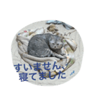 かいくんの1日 さん（個別スタンプ：4）