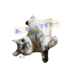 かいくんの1日 さん（個別スタンプ：5）