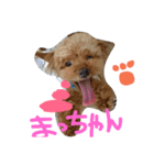 オチョコ（個別スタンプ：7）
