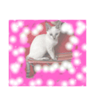 オハナCAT  改（個別スタンプ：6）