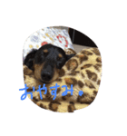 イヴイヴイヴイヴ（個別スタンプ：6）