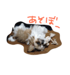 ほのぼの 春の助（個別スタンプ：7）