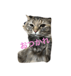 毎日の言葉。（個別スタンプ：9）