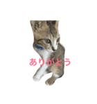 毎日の言葉。（個別スタンプ：15）