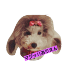 プードルの気持ち（個別スタンプ：3）