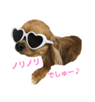 チワワん♪モコしゃん（個別スタンプ：22）