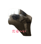 あんつん（個別スタンプ：1）