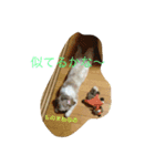 あんつん（個別スタンプ：4）