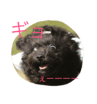 クマちゃんの仔犬たち 2（個別スタンプ：1）