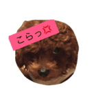 クマちゃんの仔犬たち 2（個別スタンプ：4）