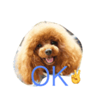 クマちゃんの仔犬たち 2（個別スタンプ：7）