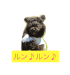 クマちゃんの仔犬たち 2（個別スタンプ：8）