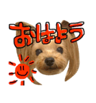 愛犬リズムの気持ち。vol.2（個別スタンプ：2）